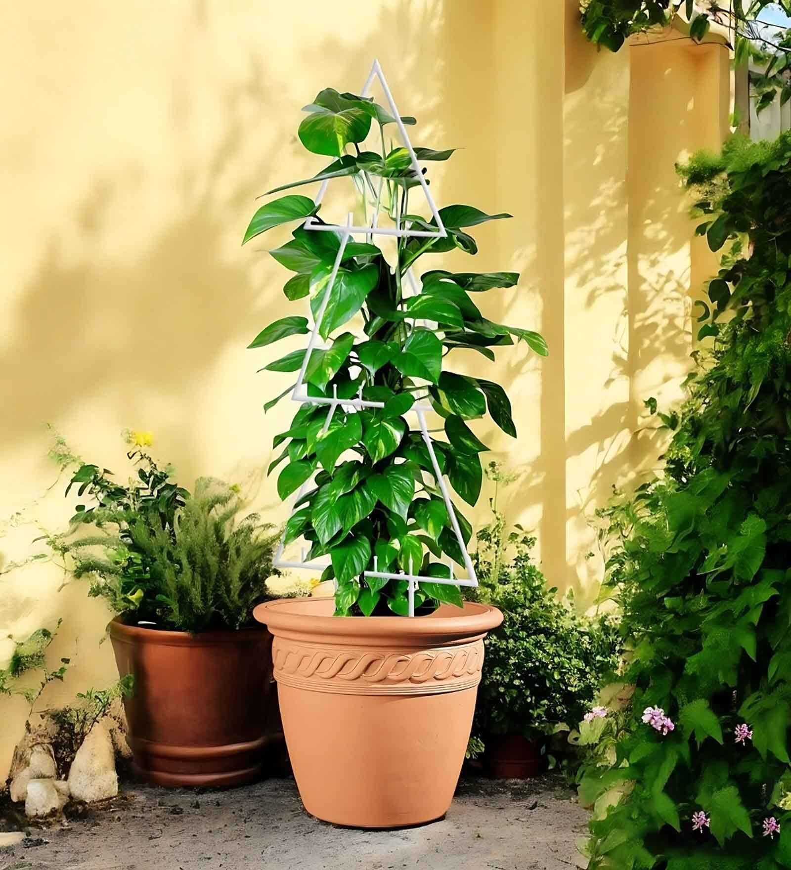 White Triangle Planter Stand For Climbing Plants
