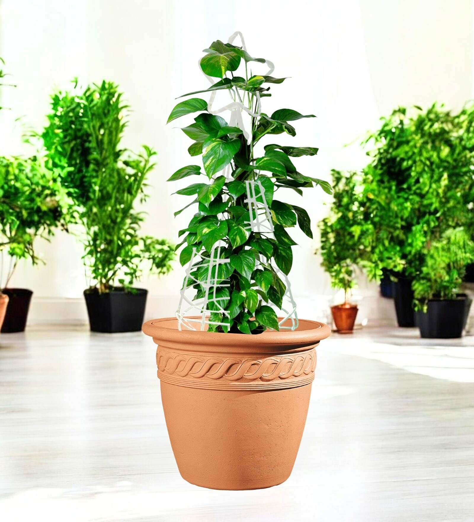 White Planter Stand For Climbing Plants