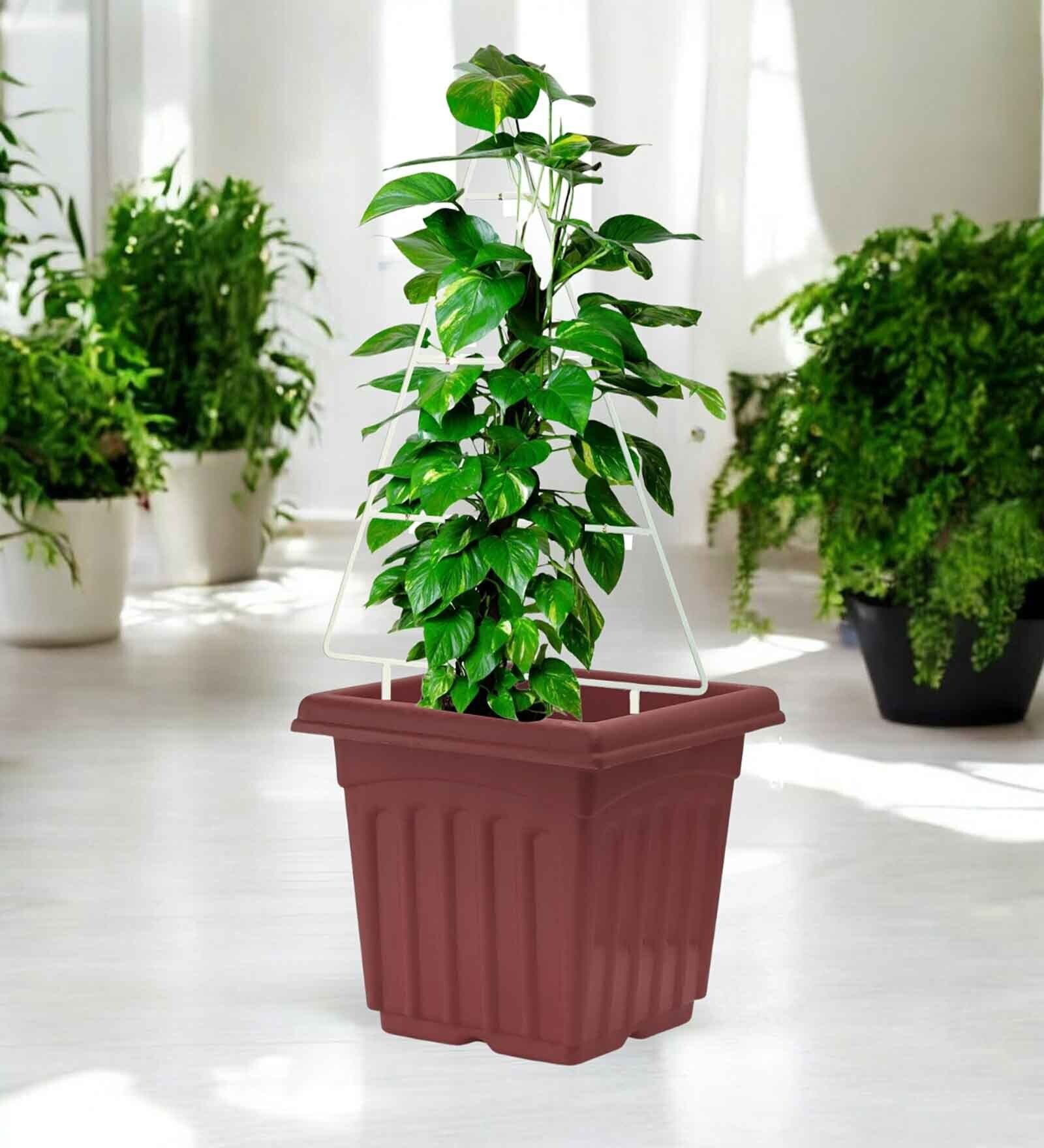 White Triangle Planter Stand For Climbing Plants