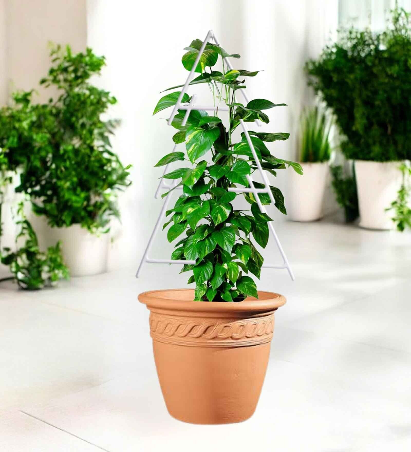 White Triangle Planter Stand For Climbing Plants White Triangle Planter Stand For Climbing Plants
