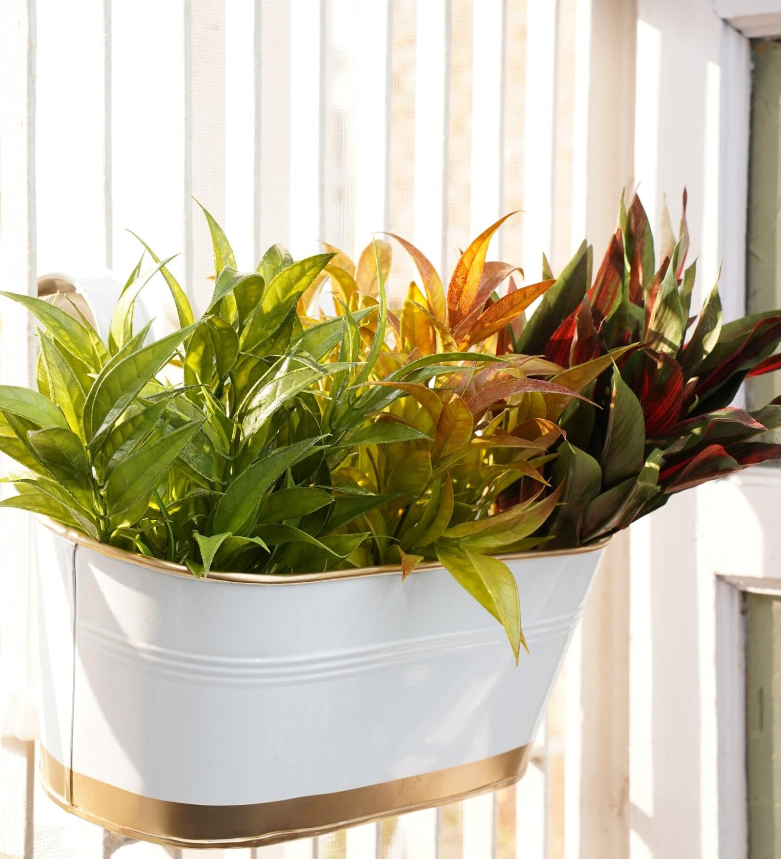 Metal Railing Planter