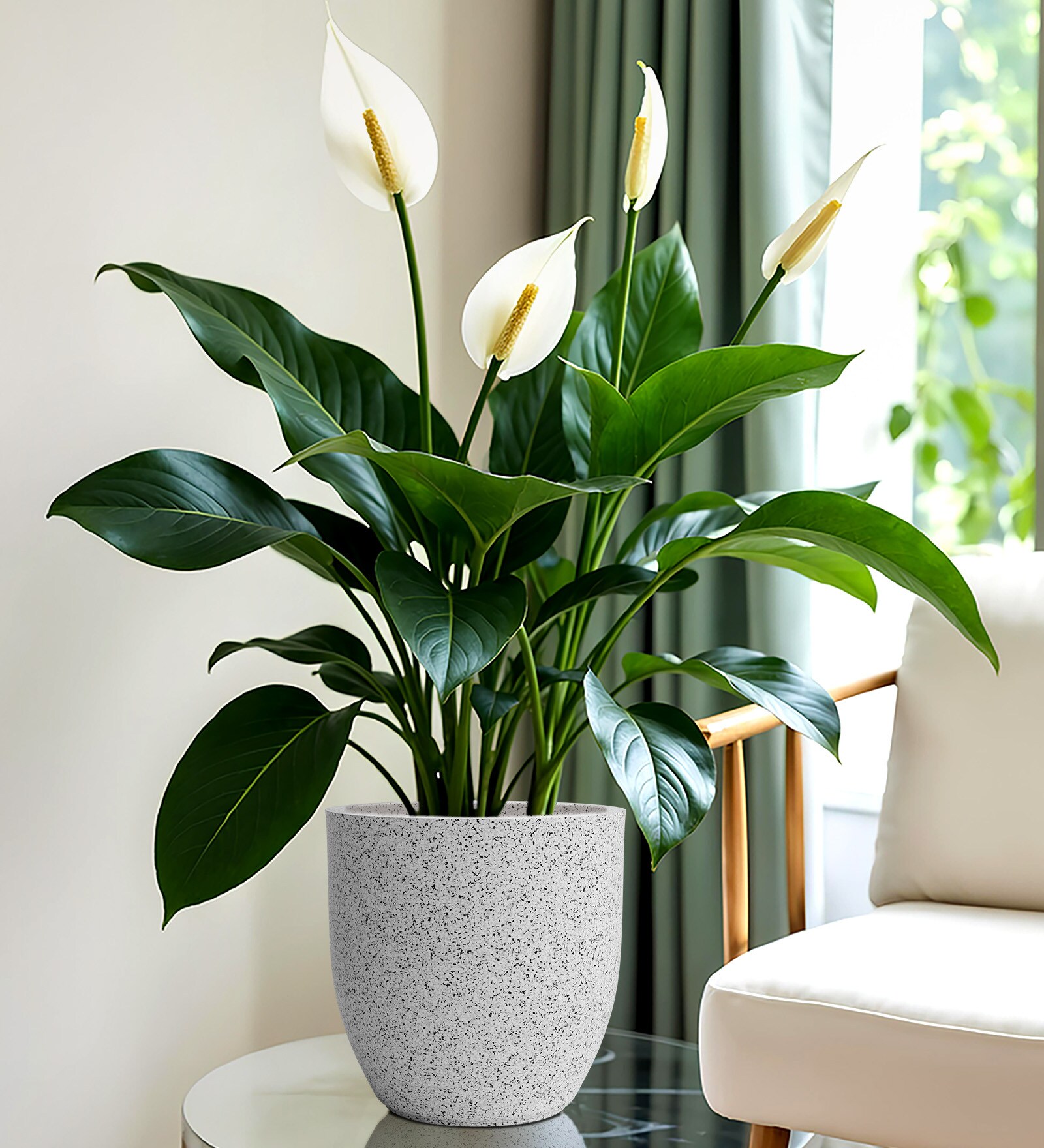 White Pcup Marble Round 8 Inches Planter