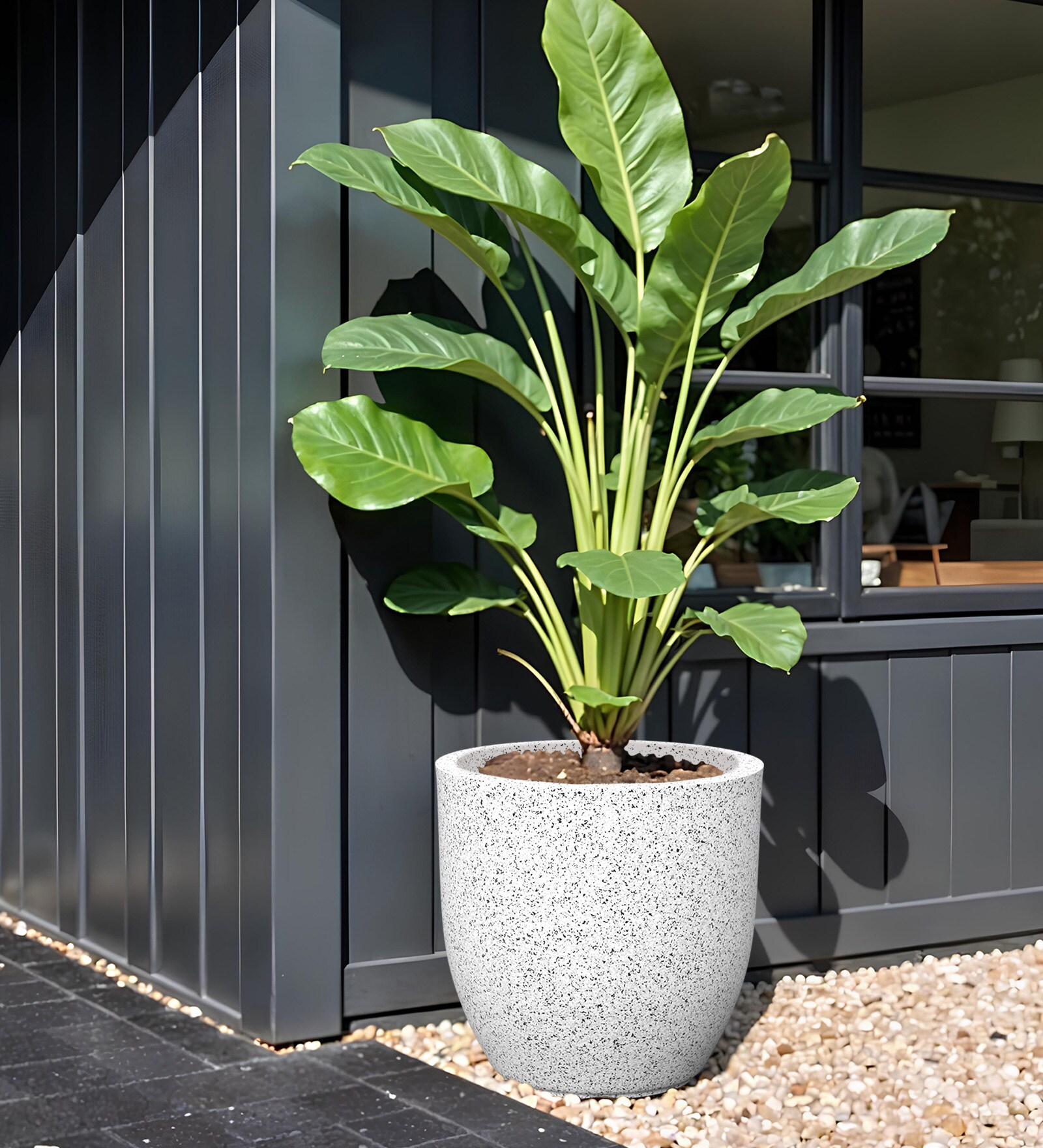 White Pcup Marble Round 2 Inches Planter