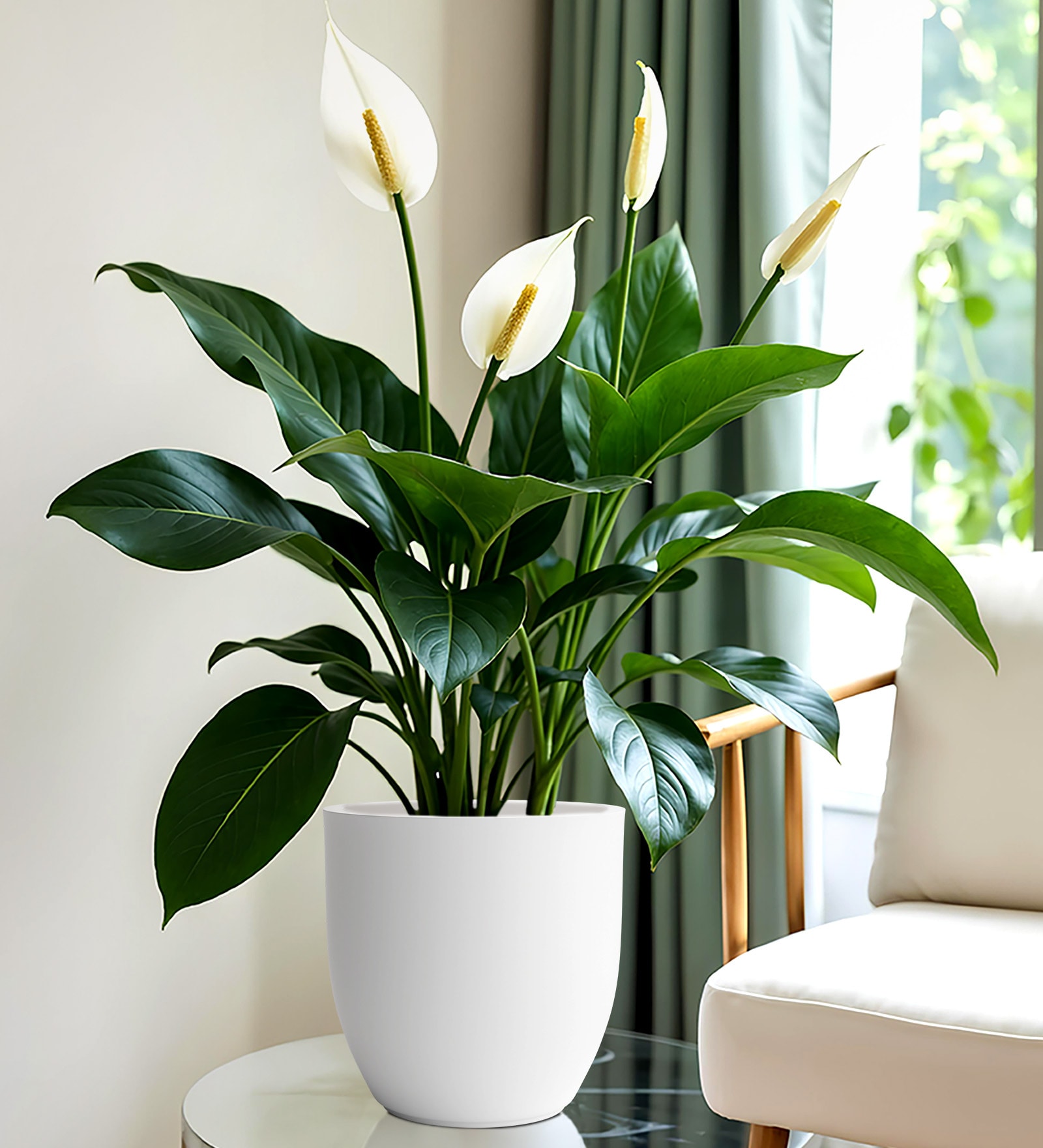 White Pcup Round 8 Inches Planter