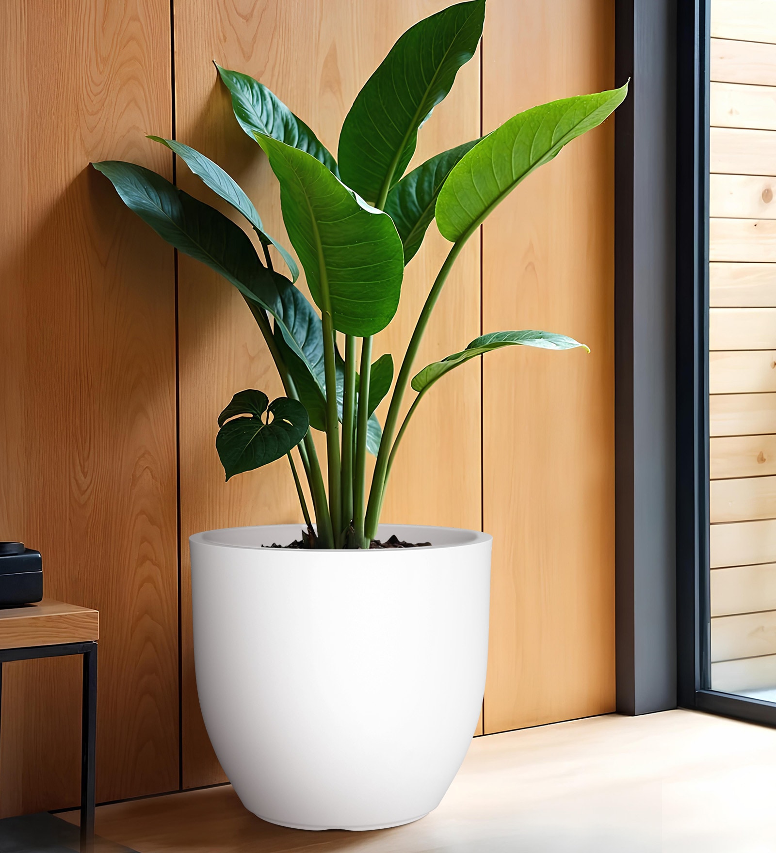 White Pcup Round 17 Inches Planter