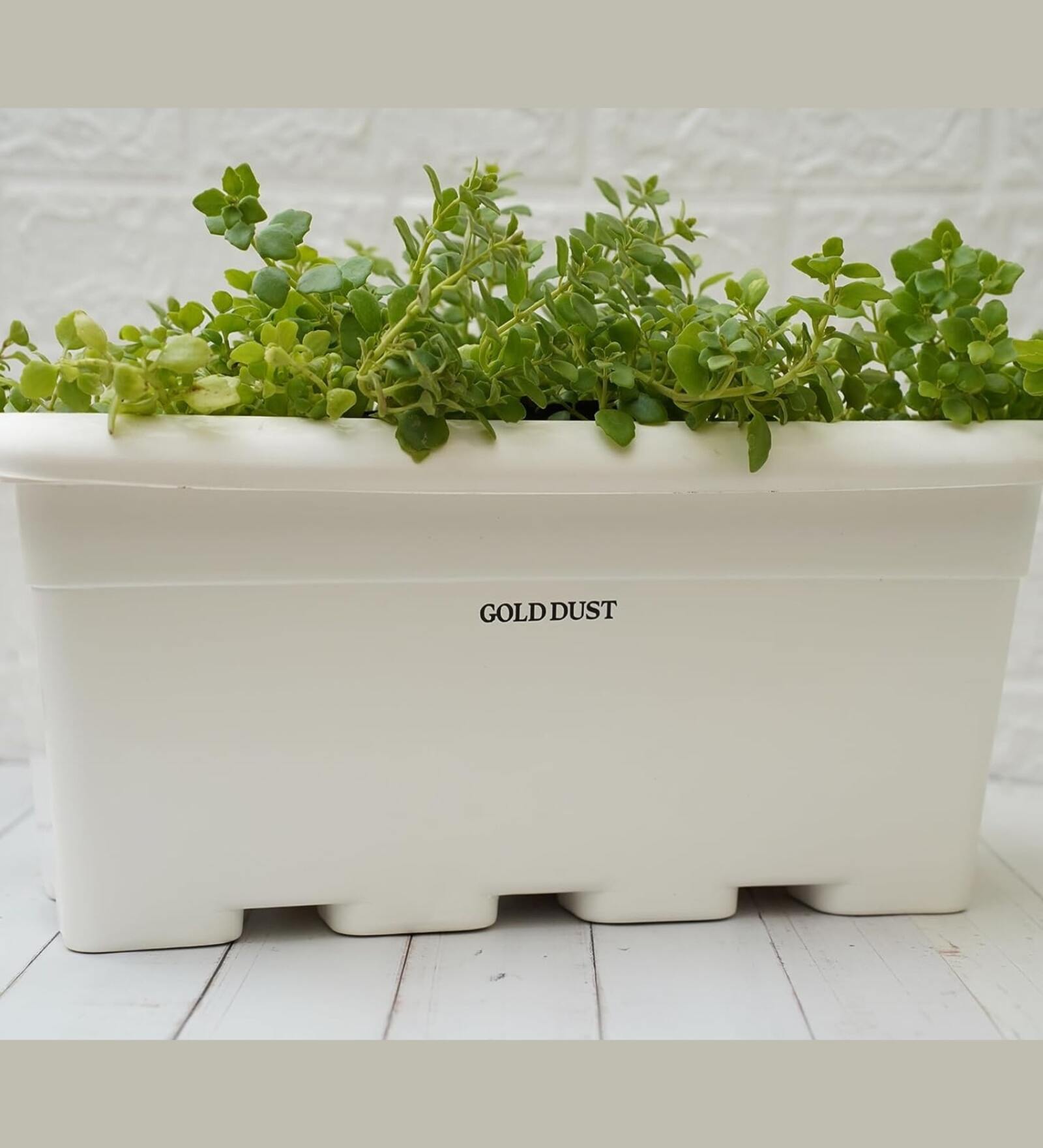 White Plastic Desk Big Planter