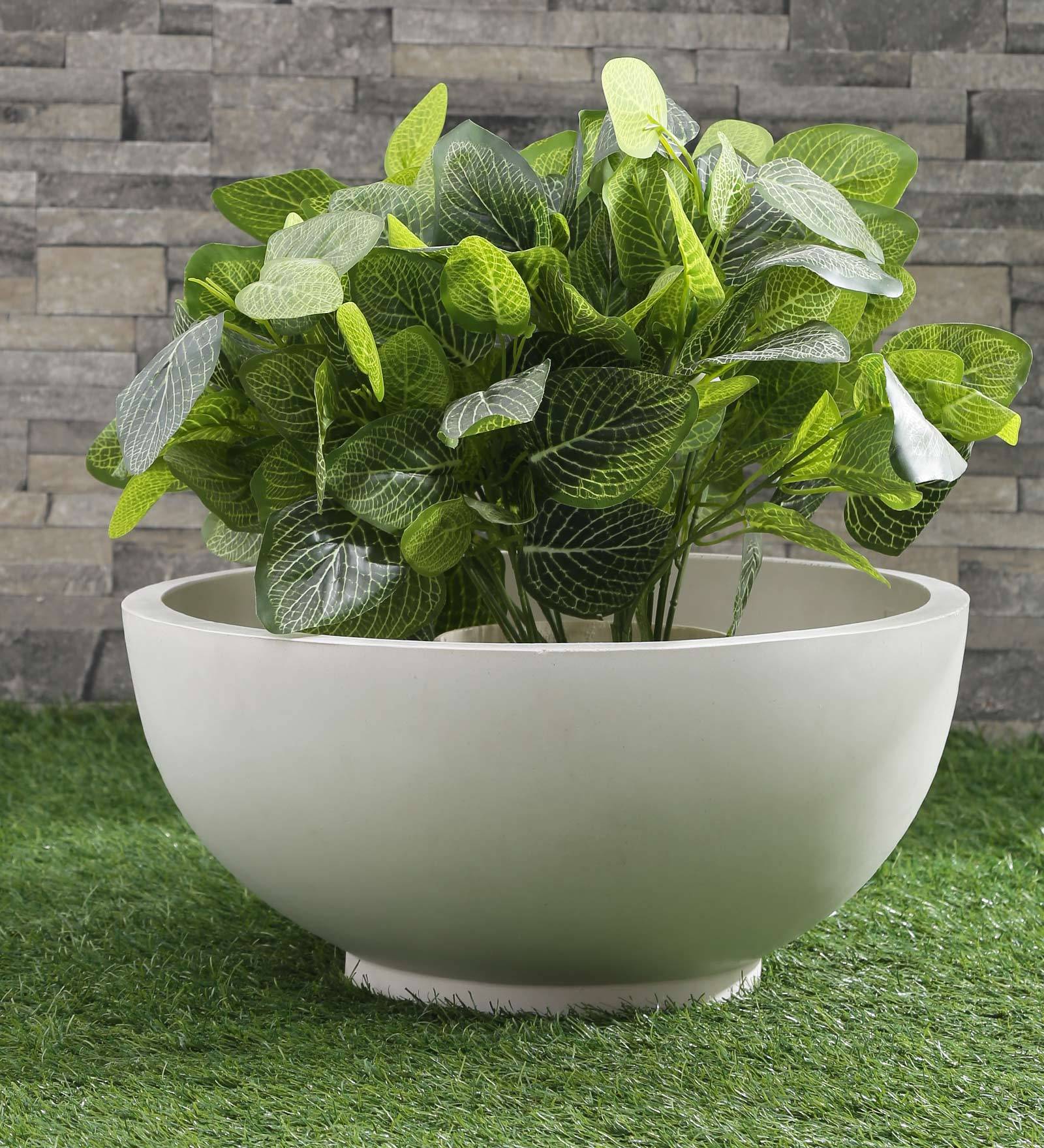 Buy Bowl Shaped White Polymer Floor Planter At 15% OFF By Yuccabe ...