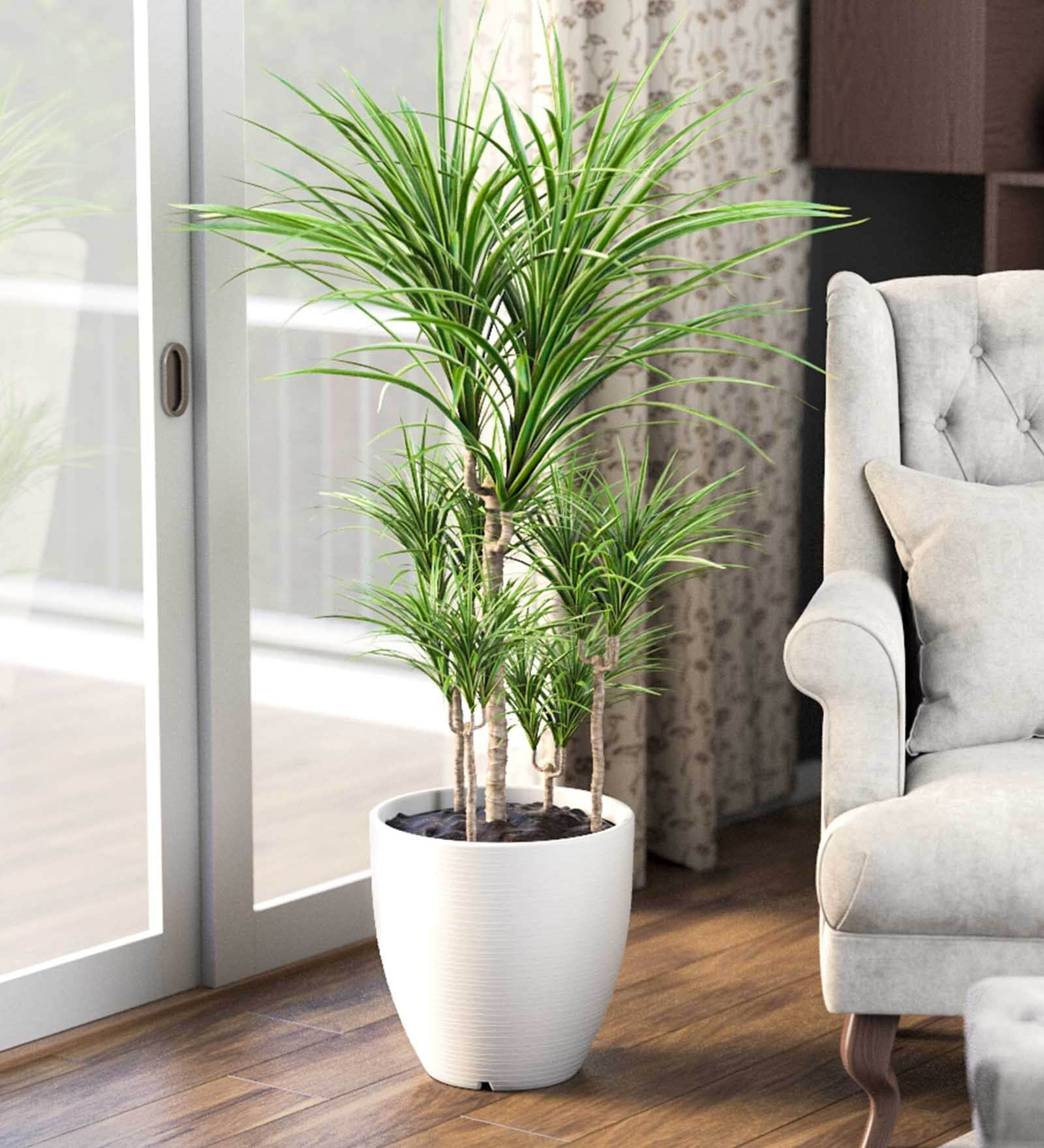 Iraka Medium White Polymer Floor Planter
