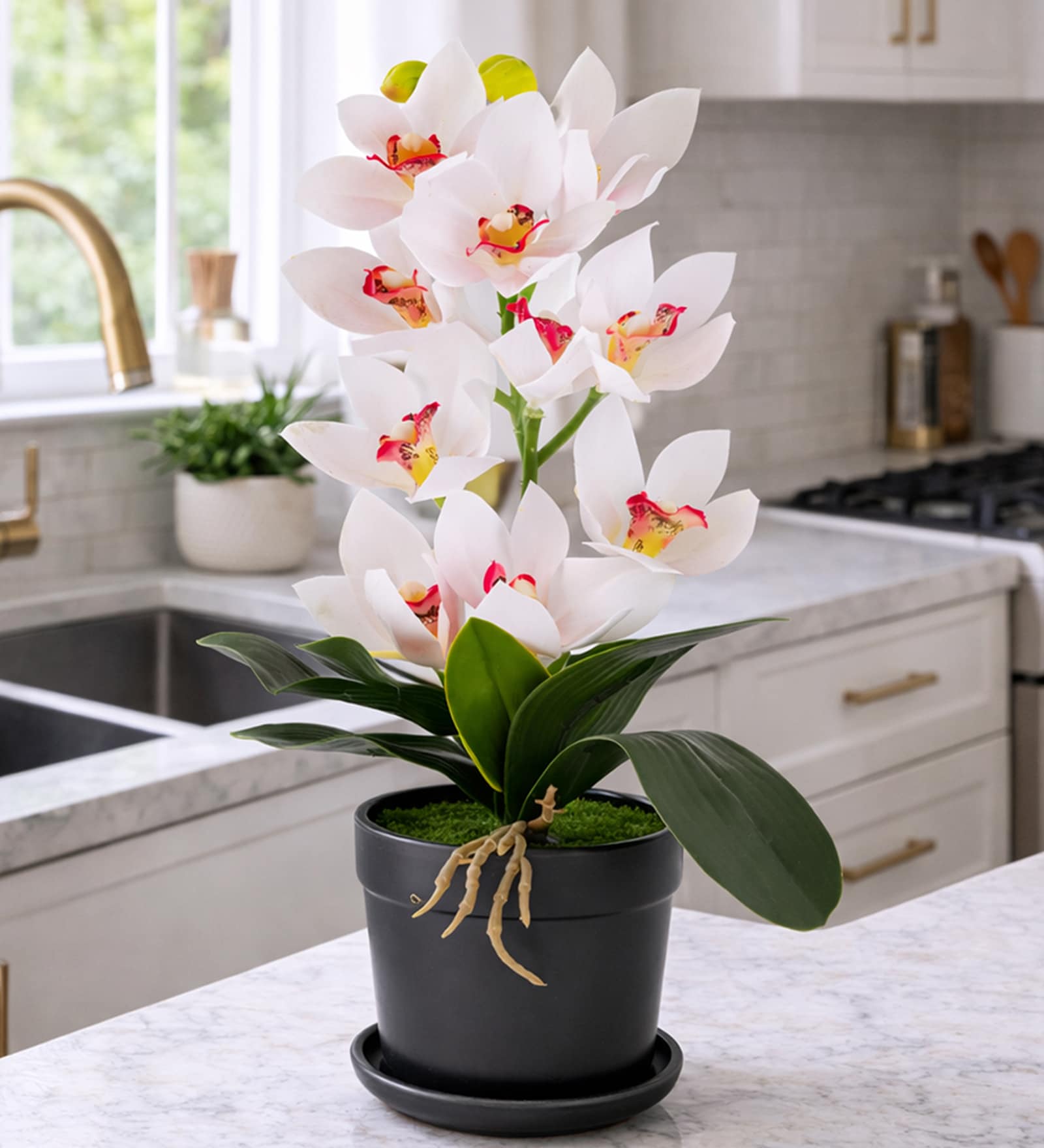 White Silk Fabric Coral Luxe Orchid Arrangement Pot With Flower
