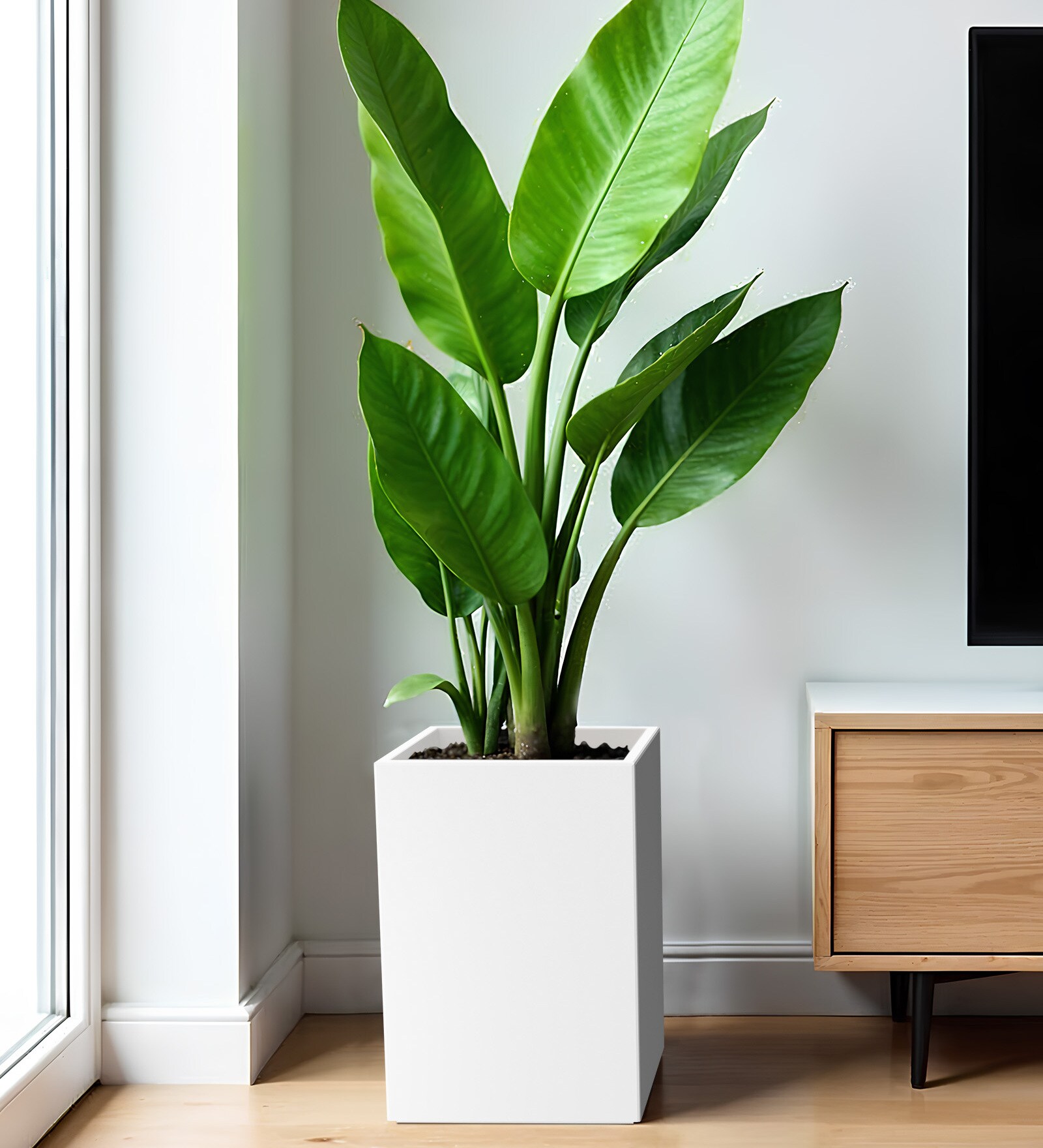 White Square Shaped Polymer Floor Planter