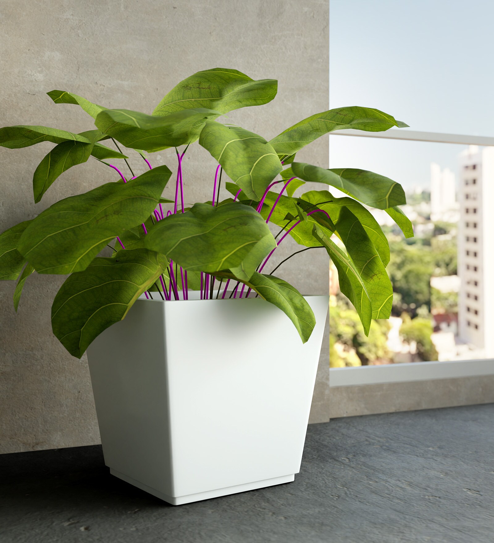 White Square Shaped Polymer Floor Planter