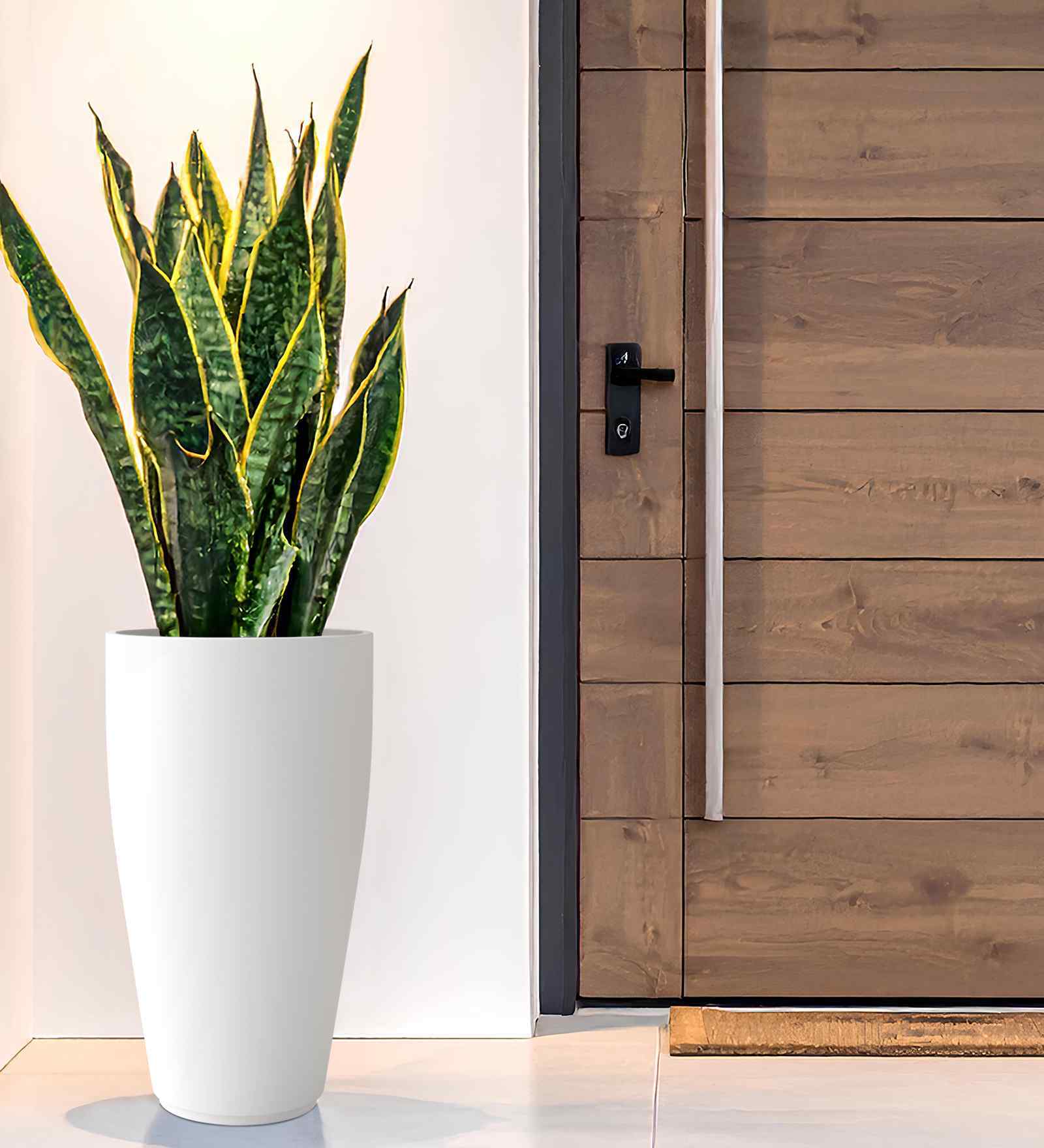 White VNR Whte Round 3 Inches Planter