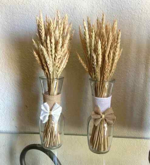 Wheat Field Natural Dried Flowers Set of 30 Stems