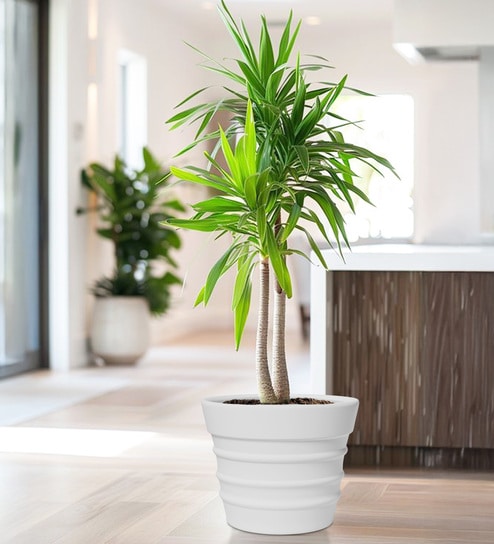 White BR Whte Round 14 Inches Planter