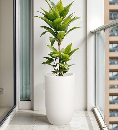 White TPC Whte Round 18 Inches Planter