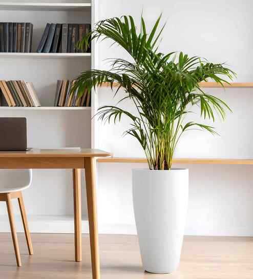 White VNR Whte Round 24 Inches Planter