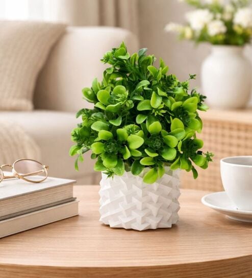 Green Artificial Plants with White Pot