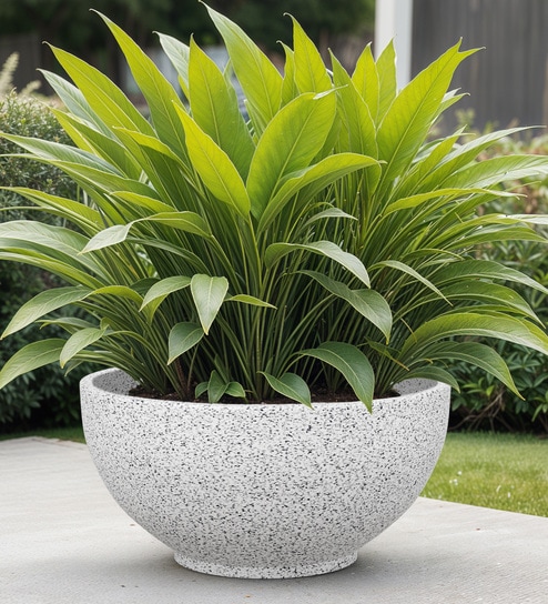 White Bowl Shaped Marble Polymer Floor Planter