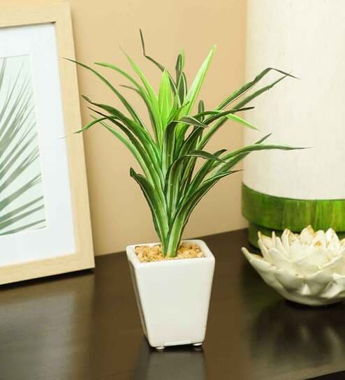 White Green Pvc Dracaena Artificial Bonsai With White Ceramic Pot