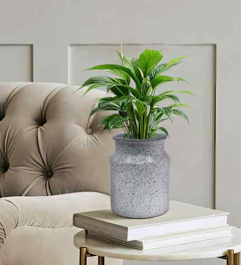 White Iron Metal Speckle Finish Flower vase (6.39 inch)