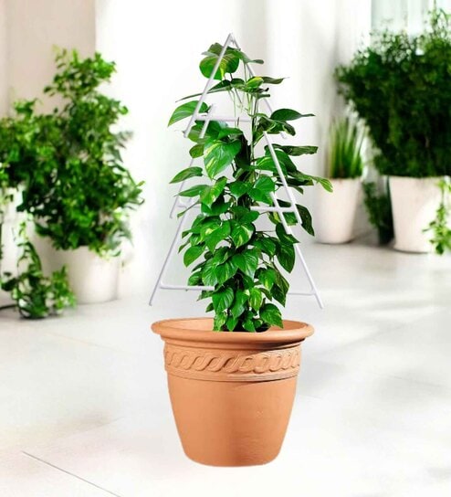 White Triangle Planter Stand For Climbing Plants