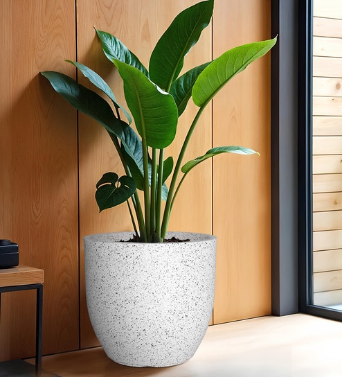 White Pcup Marble Round 17 Inches Planter