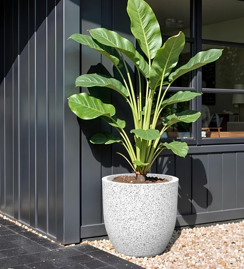 White Pcup Marble Round 24 Inches Planter