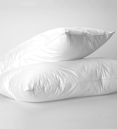 Buy Polyester 24x16 Set Of 2 Pillow Inserts In White By Gilson