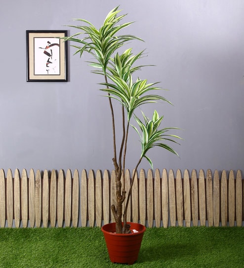 White Polyester Artificial Draceana Plant Without Pot