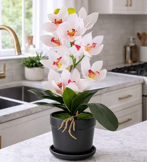 White Silk Fabric Coral Luxe Orchid Arrangement Pot With Flower