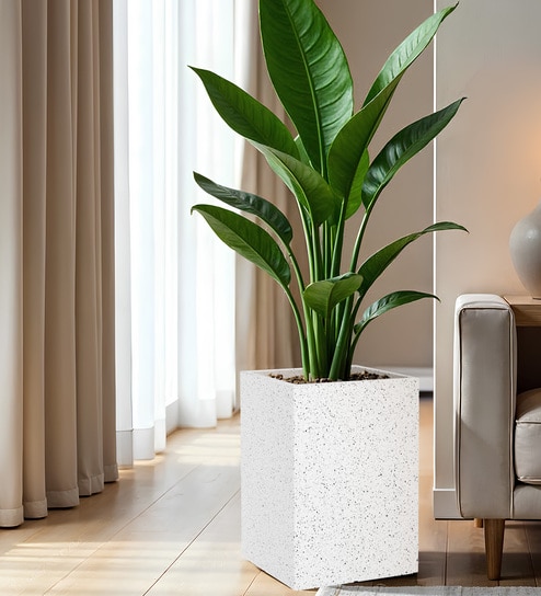 White Square Shaped Marble Polymer Floor Planter