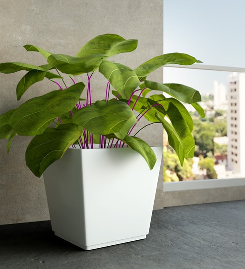 White Square Shaped Polymer Floor Planter