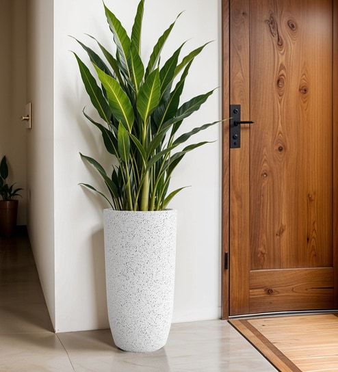 White TPC Marble Round 3Inches Planter