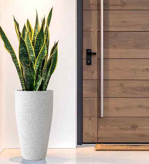 White VNR Marble Round 3 Inches Planter