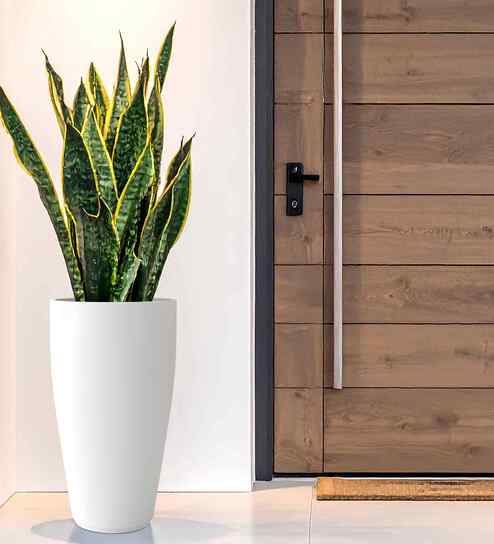 White VNR Whte Round 3 Inches Planter