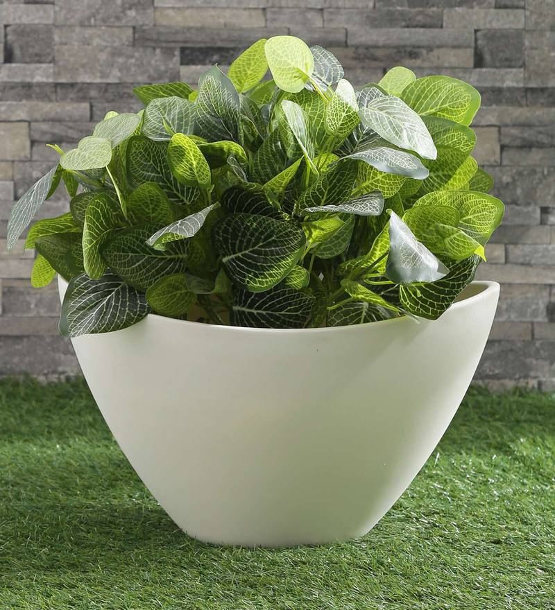 Buy White Polystone Oval  Shape  Planter  By Yuccabe Italia 