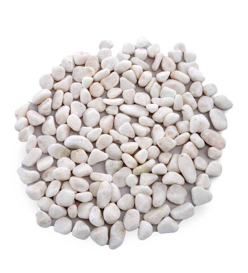 Buy White Stone Grace Decorative Pebbles by home Online Decorative