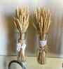 Wheat Field Natural Dried Flowers Set of 30 Stems
