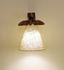 Whirl Brown Wooden Wall Light