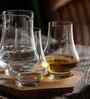 Experience 250Ml Whiskey Glass