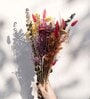 Whisper Multicolour  1 Bunch Natural Dried Flowers