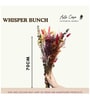 Whisper Multicolour  1 Bunch Natural Dried Flowers