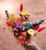 Whisper Multicolour  1 Bunch Natural Dried Flowers