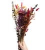 Whisper Multicolour  1 Bunch Natural Dried Flowers