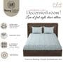 White & Aqua Glace Cotton Paisley Print Elastic Fitted King Bedsheet With 2 Pillow Covers
