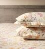 White & Blue 144TC Cotton Flat Super King Bedsheet with 2 Pillow Covers