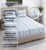 White & Blue Floral 400 TC Cotton Queen Size Fitted Bedsheet With 2 Pillow Covers