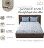 White & Blue Glace Cotton Floral Print Elastic Fitted King Bedsheet With 2 Pillow Covers