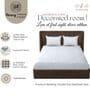 White & Blue Glace Cotton Self Design Elastic Fitted King Bedsheet With 2 Pillow Covers