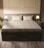 White & Brown 144TC Cotton Flat Super King Bedsheet with 2 Pillow Covers